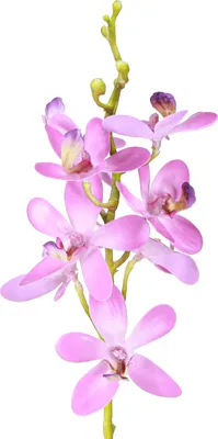 Produktbild von Künstliche Orchideen lila Blüten Dekoration 2St
