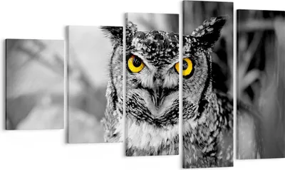 Produktbild von Bild auf Leinwand - Leinwandbild - Eule Vogel Natur - 100x60cm - Wand Bild - Wanddeko - Wandbilder - Leinwanddruck - Bilder - Kunstdruck - Wanddekoration - Leinwand bilder - Wandkunst - EG100x60-1318