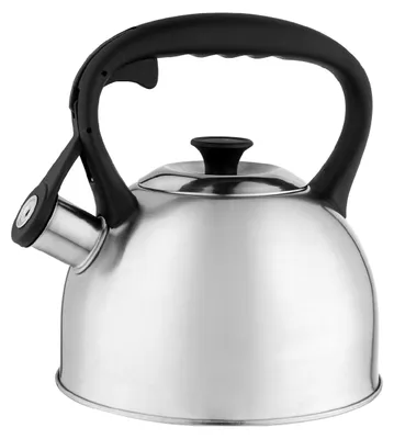Produktbild von FLORINA Wasserkessel (2,1 l) | Edelstahl Teekessel ONDA | Flötenkessel mit Nylon
