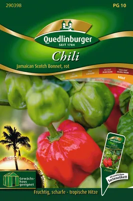 Produktbild von Chili Jamaican Scotch Bonnet | Chilisamen von Quedlinburger
