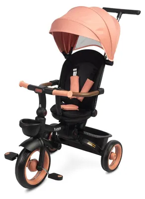 Image de Tricycle pour enfants avec poignée de poussée et harnais de sécurité