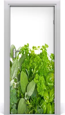 Produktbild von Tulup Türaufkleber 85x205 cm Dekorative Aufkleber Selbstklebend Wasserdichte Tapete Abnehmbar Schlafzimmer Wohnzimmer Wohnkultur - Kraut