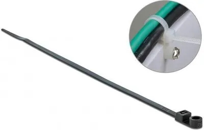 Image de DELOCK KBI avec oeillet de fixation L 160 x l 4,8 mm noir