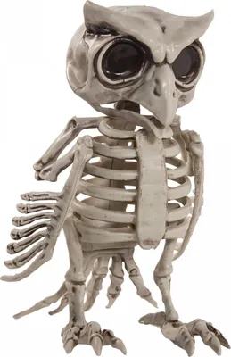 Produktbild von Skelett Eule als Halloween Dekoration 17,5cm