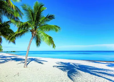 Image de RAVENSBURGER Casse-tête Repos sur la plage 1000 pièces