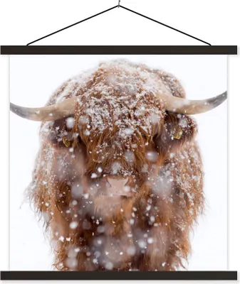 Produktbild von MuchoWow® Textilposter Schottisches Hochlandrind - Schnee - Porträt 40x40 cm mit schwarzem Rahmen - Fotos