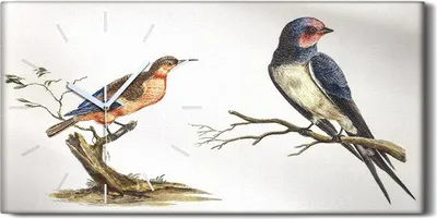 Produktbild von Wohnzimmer-Bild Leinwand Uhr 60x30 Zeichnen von Tieren Vögel Zweig Kunst - weiße Hände