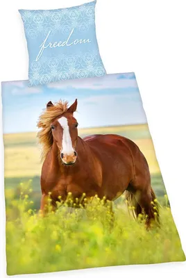 Produktbild von Herding Flanell Bettwäsche mit Pferd 135 x 200 cm 80 x 80 cm 100% Baumwolle