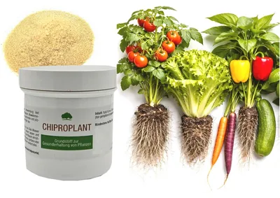 Produktbild von ChiProPlant 80g Chitosan - gemahlene Krabbenschalen für ein gesundes Bodenleben und Pflanzenwachstum