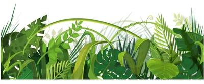 Produktbild von Fensterfolien-Klebefolie – DER DSCHUNGEL – Sichtschutzaufkleber für Fenster und Duschtüren – 40 x 100 cm