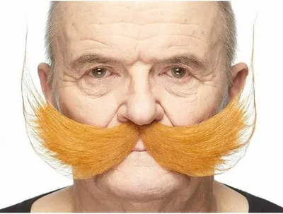Produktbild von Schnurrbart My Other Me Orange