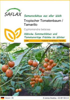Obrázok produktu pre SAFLAX - Tropický paradajkový strom / Tamarillo - Cyphomandra betacea - 50 Semená