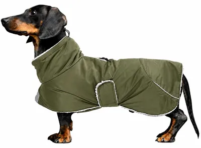 Wasserdichte Teckeljacke mit Fleece-Futter, verstellbar, reflektierend