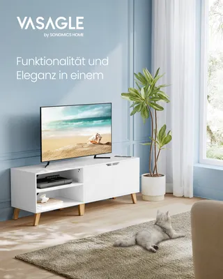 A living room scene featuring a white TV stand with a television on top, a plant, and a rug with a cat lying on it.