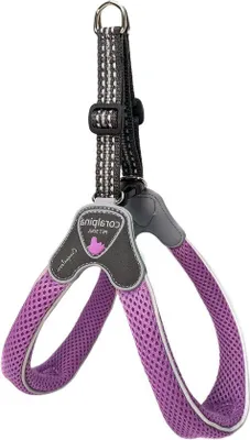 Produktbild von Hundehalsband klein bis mittel, weich, atmungsaktiv, lila, Größe 2