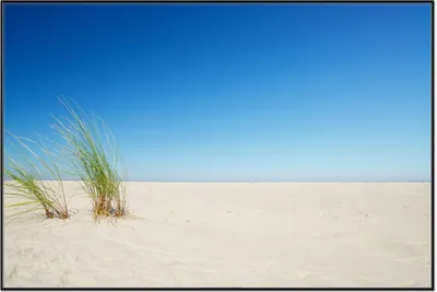 Produktbild von Wallario Wandbild Sandstrand unter blauem Himmel, Größe: 61 x 91,50 cm, Poster mit schwarzem Aluminiumrahmen