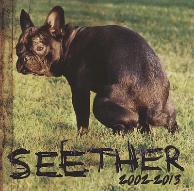 Obrázek produktu pro Seether: 2002 - 2013 (Jewelcase) - - (CD / #)