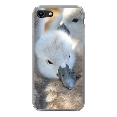 Produktbild von MuchoWow® Handyhülle Schutzhülle Hülle für iPhone 7 Schwäne - Licht - Küken Silikon Softcase Handy Hülle - Kartenhalter