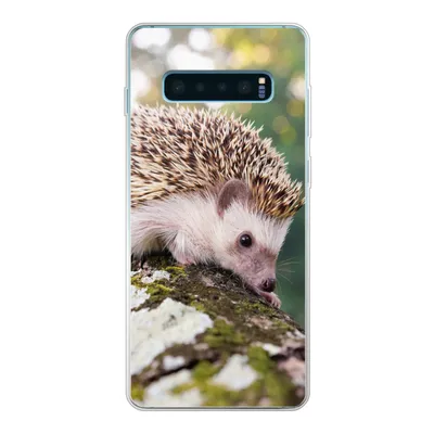 Produktbild von MuchoWow® Handyhülle Schutzhülle Hülle für Samsung Galaxy S10 Plus Baby - Igel - Baum Silikon Softcase Handy Hülle - Schutzhülle