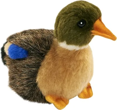 A stuffed toy duck on a white background.