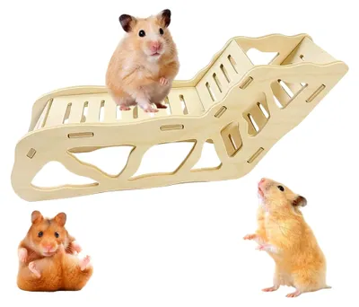 Produktbild von Hamster Tunnel aus Holz mit Leiter, 32 x 13 x 2,2 cm Zubehör für Hamsterhaus