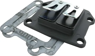 Obrázek produktu pro Membránový blok Polini Evolution, kompatibilní s motocyklem Yamaha BWS 50 NG, vyrobený do roku 1999