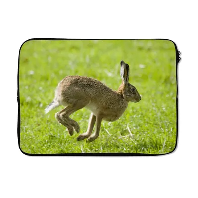 Produktbild von MuchoWow® Laptop Hülle 14 ZollHase - Gras - Tier Laptoptasche - Laptoptasche - Stoßsicher - Schutzhaube