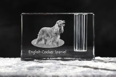 Produktbild von English Cocker Spaniel, Englische Cockerspaniel  - Stifthalter, Kristallorganizer mit Hundefoto, einzigartige Schreibtischdekoration der Marke Art-Dog