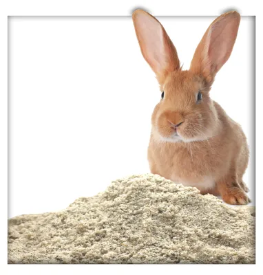 Produktbild von 25 kg Buddelsand 0-1 mm für Kaninchen & Hasen, kantengerundet, lehmfrei, frei von Verunreinigungen & chemischen Zusätzen