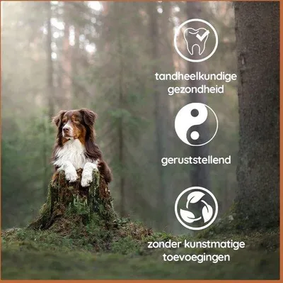 Productafbeelding van Kurzmaschinen