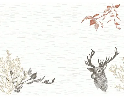 Produktbild von Duni  Dunicel Tischsets Wood & Deer 30x40cm 100er