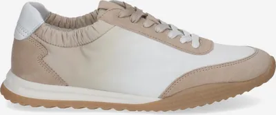 Produktbild von Peter Kaiser 73609 336, Sneaker in Beige für Damen, Größe 40