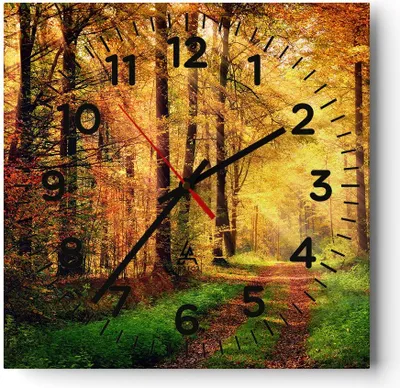 Produktbild von Wanduhr - Quadrat - Glasuhr - Wald Baum Natur - 40x40cm - Schleichendes Uhrwerk - Lautlos - zum Aufhängen bereit - Dekoration Modern - Wanddekoration aus Glas - C4AC40x40-3718