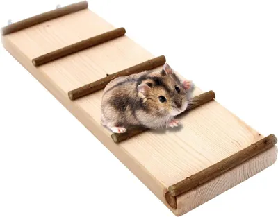Produktbild von Hamsterleiter aus natürlichem Holz, handgefertigt, splinterfrei, für kleine Tiere