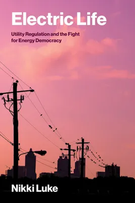 Produktbild von Electric Life