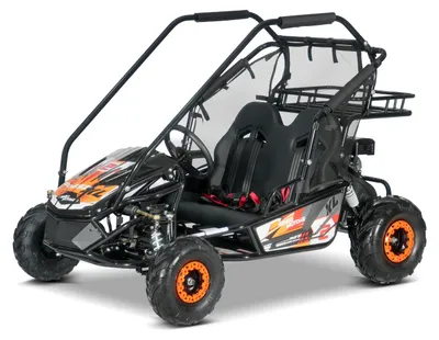 Produktbild von Benzin-Kart für Kinder Beneo Motors BUGGY RSX XL Orange – 212 cm³