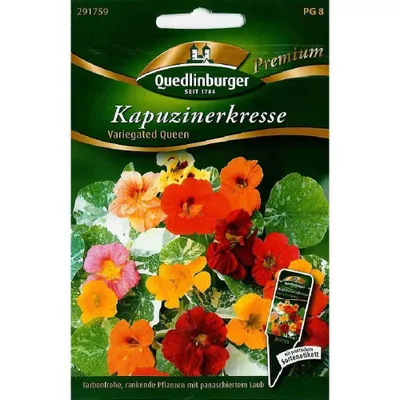 Immagine prodotto di Quedlinburger Saatgut - Nasturzio variegato Que - Semi - 291759