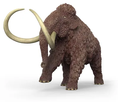 Productafbeelding van DINOSAURUSSEN 15053 15 x 28 x 10 cm. Dinosaurus figuur, speelgoed, geschikt voor kinderen vanaf 5 jaar