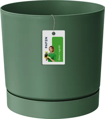 Produktbild von Grüner Kiefer Topf mit Sockel 23,9 cm Tubo