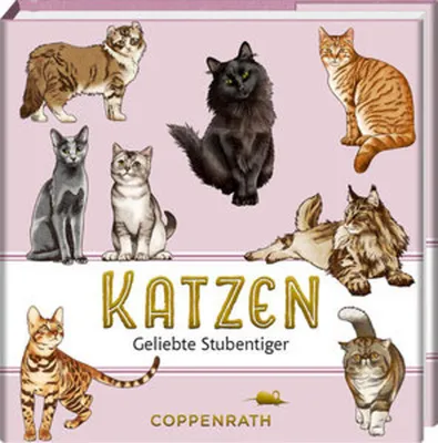 Zdjęcie produktu dla Katzen
