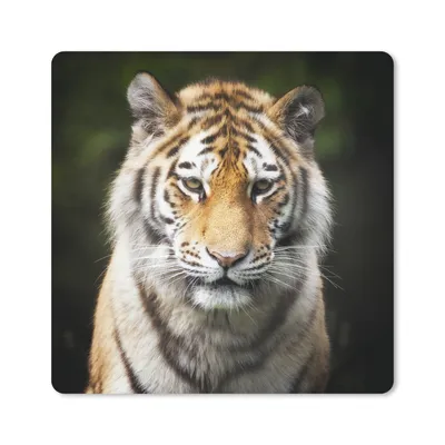 Produktbild von MuchoWow® Mauspad Mousepad Tiger - Tiere - Natur 20x20 cm - Mousepads - Maus Mat - Pad - Mausunterlage - Desk Mat - Bureauartikeln