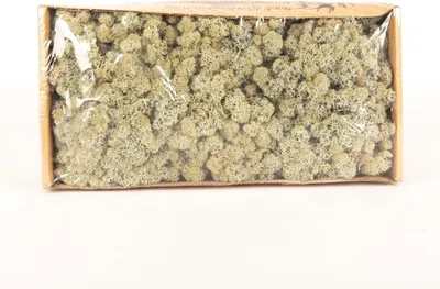 Produktbild von INNA-Glas Dekoratives Moos SVEINBJÖRN, grau, 500g - Echtes Isländisches Moos