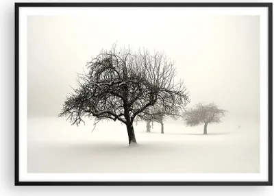 Produktbild von Gerahmtes Poster - Schwarzer Rahmen - Bäume Schnee Nebel - 100x70 cm - Wand Bild - Wanddeko - Wandbilder - Kunstposter - Wandposter - Bilderrahmen - Bilder - Kunstdruck - Wandbild - P2BAA100x70-4136
