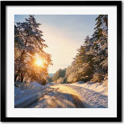 Produktbild von Bild - 50 cm x 50 cm - MDF - Rahmen, Wandkunst - Straße im Winterwald