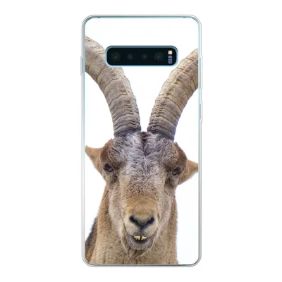 Produktbild von MuchoWow® Handyhülle Schutzhülle Hülle für Samsung Galaxy S10 Lite Steinbock - Tiere - Hoorn Silikon Softcase Handy Hülle - Schutz