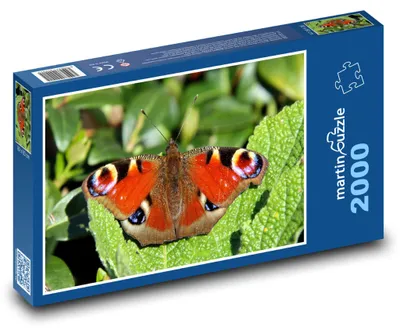 Produktbild von Puzzle 2000 Schmetterling - Tagpfauenauge - martinpuzzle