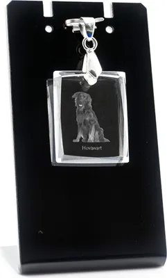 Image de Hovawart - Pendentif en cristal avec chien, collier avec photo, bijoux uniques d'Art-Dog