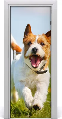 Produktbild von Tulup Türaufkleber 75x205 cm Dekorative Aufkleber Selbstklebend Wasserdichte Tapete Abnehmbar Schlafzimmer Wohnzimmer Wohnkultur - Jack-Russell-Hund