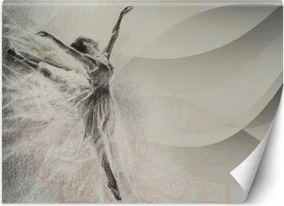 Produktbild von Vlies fototapete Ballerina-Mandala-Hintergrund 350x245 cm Feeby Grau inkl. Kleber einfache Montage