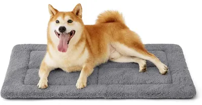 Produktbild von Hundematte waschbar 89x56 cm mit hochdichter Schaumstofffüllung Sherpa-Plüsch Grau